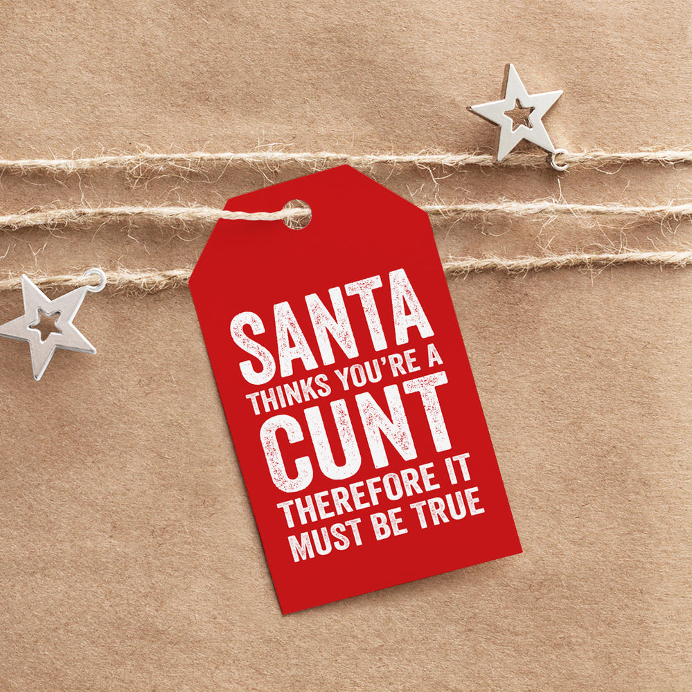 Santa Must Be True Cunt Tag #1 image